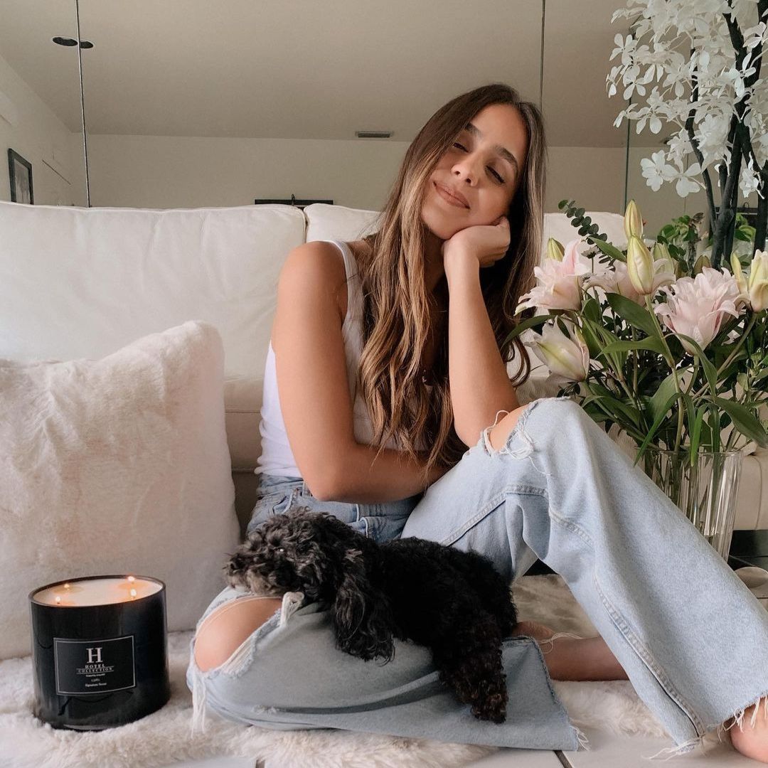 Pet Safety & Our Ingredients